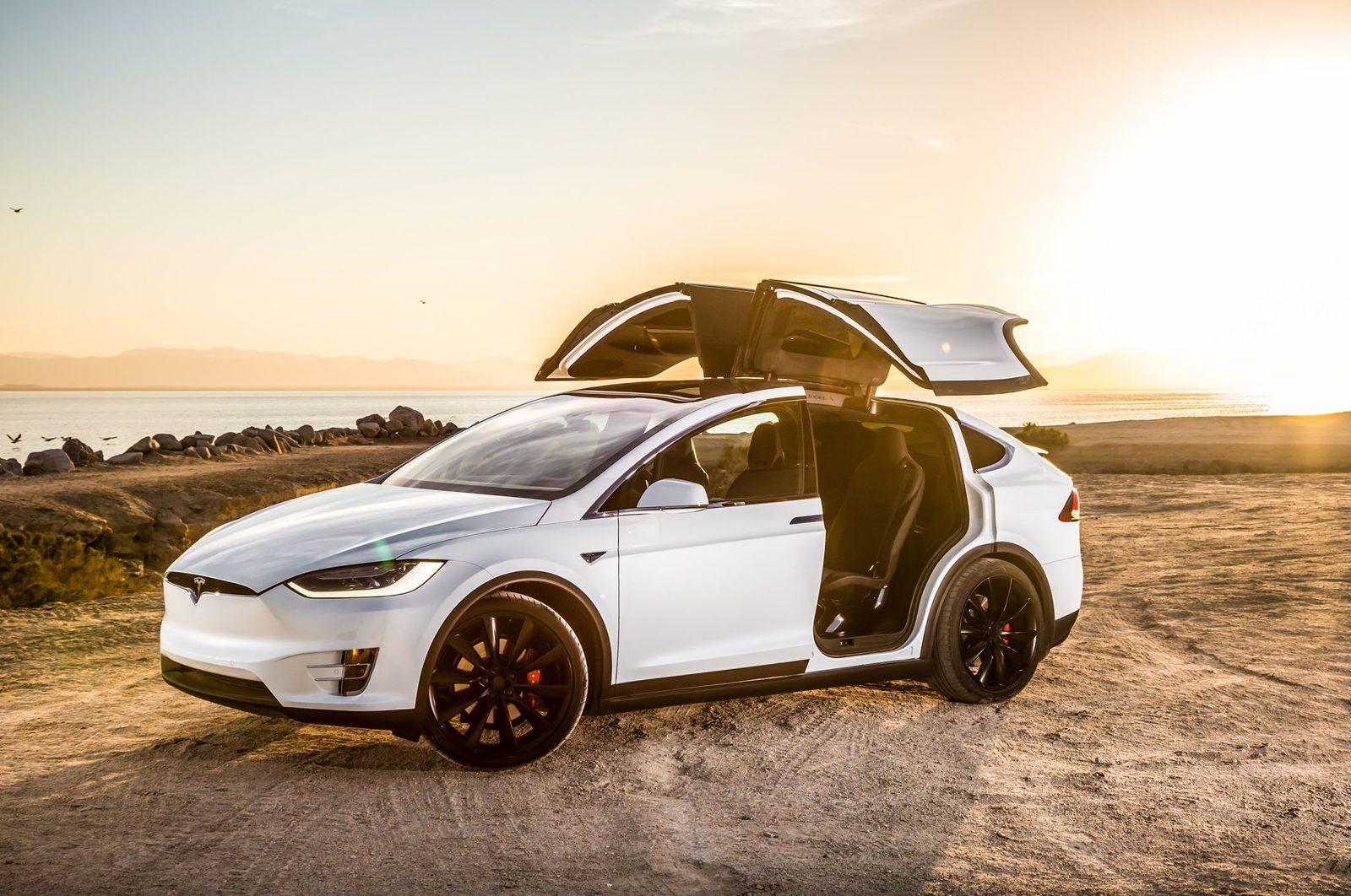新娘坐在 Tesla Model X 鷹翼門內