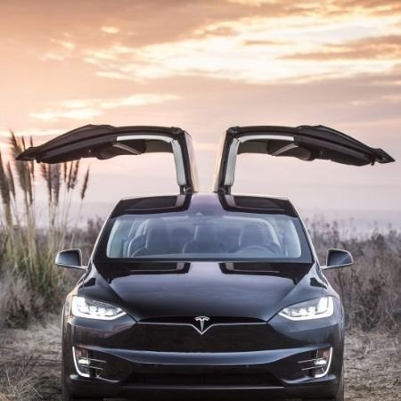 Tesla Model X 鷹翼門